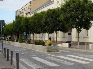 Nikola Antić: Ćuprijska kocka spoticanja i žardinjera razdora